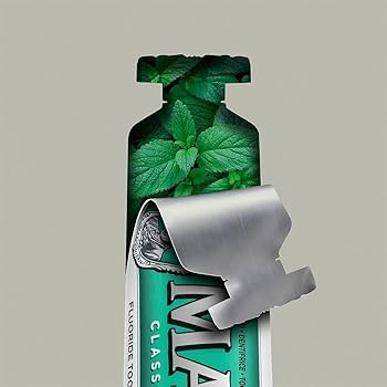 Dentifrice Menthe verte forte 85ML