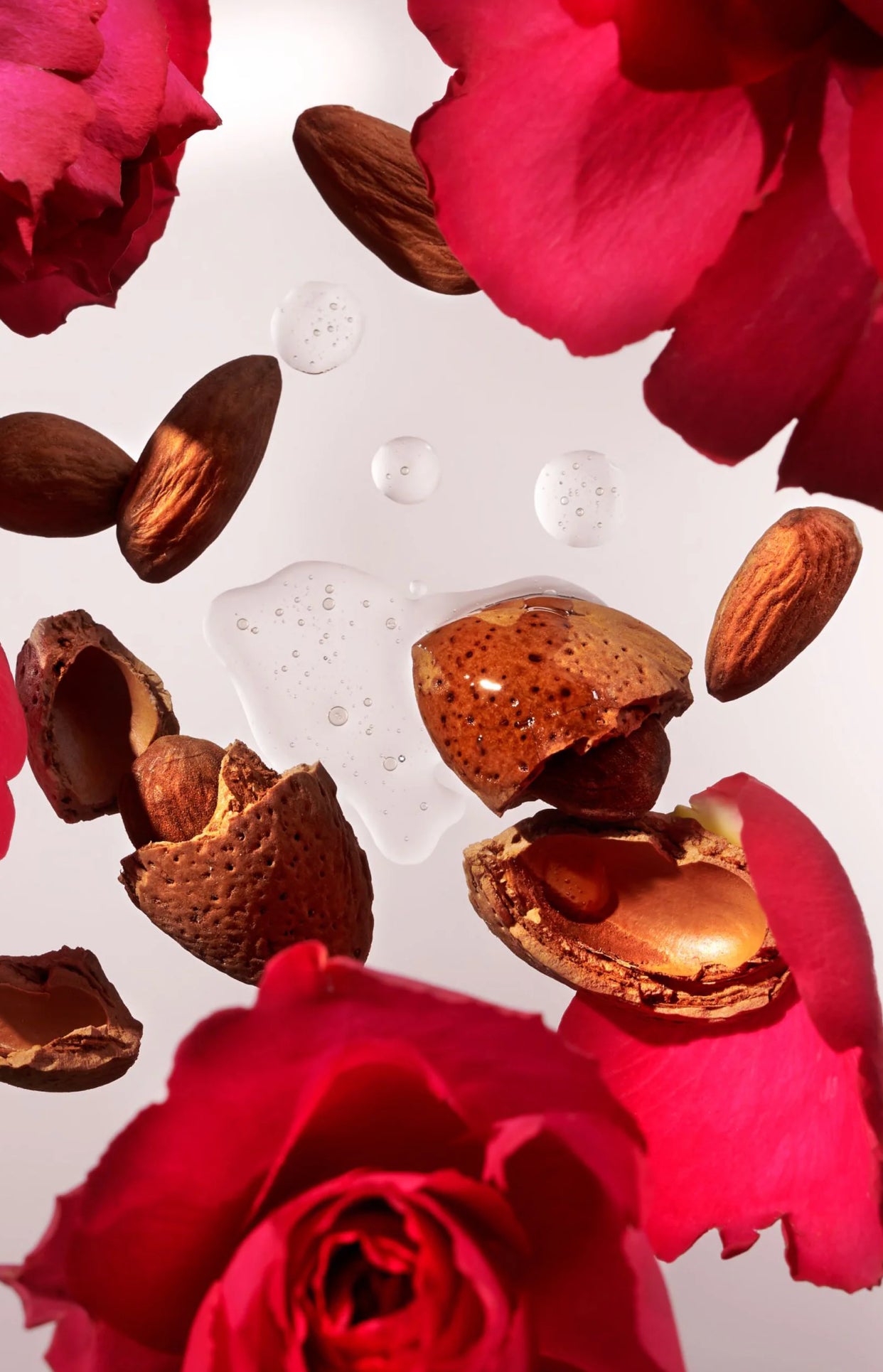 Coffret M Corps & Maison- The Ritual of Ayurveda